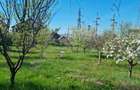 Particular,vand 1045 mp teren intravilan Pitesti,str. Plopilor, toate utilitatile, asfalt. - 4