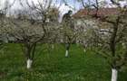 Teren 750 mp Intravilan - Slanic Prahova, vis-a-vis de Salina - 1