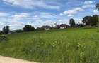 Teren intravilan in Mitoca?i 48000 euro - 2