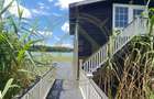 Dom00445 - vila de poveste la lac cu ponton in snagov - 4