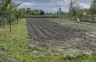 Teren intravilan 1000 mp sat Bacel comuna Chichis - 8