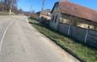 Teren de vanzare 11.000 mp, acces asfaltat - 1