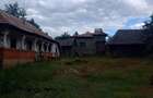 Gospodarie rurala, casa, terenuri - 1