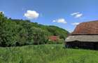 De vanzare imobil : casa , bucatarie de vara , sura, gradina 30 ari - 3