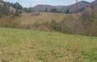 Vand teren intravilan - 5