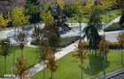 Studio 42 mp | Un alt mod de a locui | West Avenue