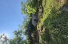 Casa batrineasca la 50 de km de constanta - 3