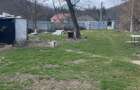 Casa Crihan-Magura,teren 2700 mp,acces asfaltat - 1