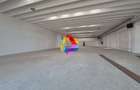 Spatiu comercial - 500 mp - 2