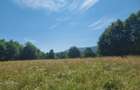 Teren de vânzare – 3.250 mp în Valea Dejani | Natură, liniște și potențial - 4
