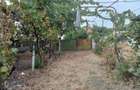 Vand casa in Com, Ostroveni, jud Dolj - 2