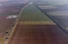 Teren la sosea in zona Industriala Sud Arad - 4