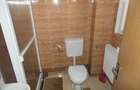 Apartament 1 camera, foarte spa?ios, cu termoteca, central - Podgoria - 4