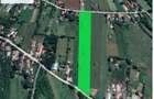 Teren intravilan zona padurii Snagov, curent, asfalt, gaz, 15000 euro fara TVA - 1