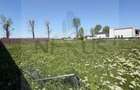 Teren intravilan 375 mp | Ideal casa | Acces rapid Bucuresti - 1