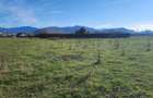 Teren superb de 533mp construibil zona perfecta Brasov