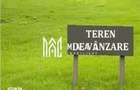 Teren Intravilan I 4129 MP I Gura Raului - 3