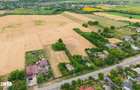 Casa gospodareasca cu teren generos 1,1 Ha in Silistea, Com. Todiresti - 3