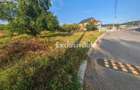 Teren intravilan 1.600 mp Mioveni Zona Pruni - 4
