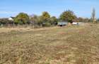 Teren intravilan Sascut (Schineni), jud. Bacau, 3200mp - 5