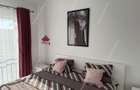 Apartament decomandat | 2 camere + Terasa de 12mp- Str. Bicaz-Giroc - 7