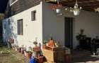 Campina - casa - 475 Euro/Luna - 1