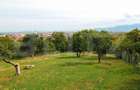 Teren cu rau si vedere panoramica - 2