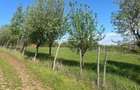 Teren cu vedere panoramica Str. Iris Alba Iulia - 4