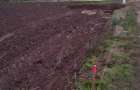 Vanzare teren intravilan Snagov Ciofliceni - 7