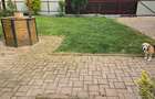 Vand casa in Deva, S+P+M + filigorie, zona Viile Noi (str. Luncii), - 3