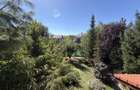 Aspen House, 5 camere, gradina matura, garaj caramida, Paradisul Verde - 2