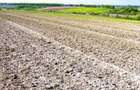 4 ha teren agricol la Melinesti judetul Dolj - 1