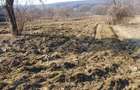 Teren agricol sat.Voroveni - 2