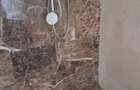 Apartament 3 camere, parter, in Chitila