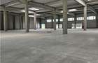 Spatiu Comercial - 550 mp - Zona Comerciala Nord - 11