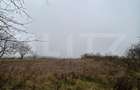 Teren Intravilan, 7200 mp, zona Nord-Vest - Siliștea
