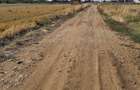 Teren intravilan 5.000 mp in Caracal acces din doua strazi utilita?i - 4