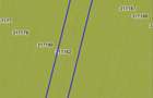 Vand teren agricol in Pecica( Turnu) 3,9 ha(fara contract cu arendas) - 3