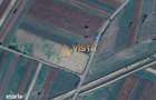 Teren extravilan de 5755 mp in Dobarlau, la 25 km de Brasov