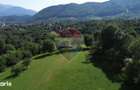 Teren 3,000mp Predelut / Strada Pe Tarina