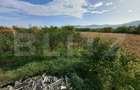 Teren intravilan de 18927 mp, Hala P+1 250 mp, Ocna Mures - 1