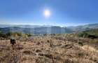 Teren de vanzare - Aiud (Alba) - 1