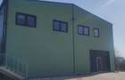 Hala Buftea DN 1A 1278 mp pe Teren 5000 mp Chilipir - 10