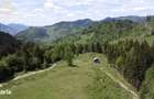Teren de 10Ha in Bucovina BEST VIEW - 4