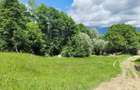 Teren 3.800 mp - Slatina, Nucsoara
