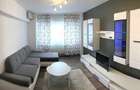 Apartament de inchiriat 2 camere Banu Manta Victoriei Titulescu - 2