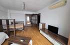 Proprietar, inchiriez apartament cu o camera, 48 mp, Podul de Fier - 4
