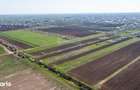 Vanzare teren intravilan 500 mp Sabareni / Strada Orhideelor - 15