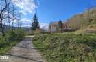 BREBU intravilan 1800 mp, deschidere 29 ml, doar 16.900 - 5