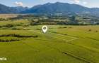 Teren 8,329mp Rasnov / Extravilan / COMISION 0% - 6